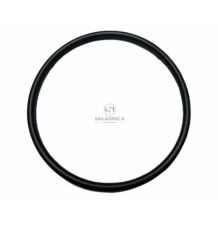 ORING   100* 3.25 [CCN058]