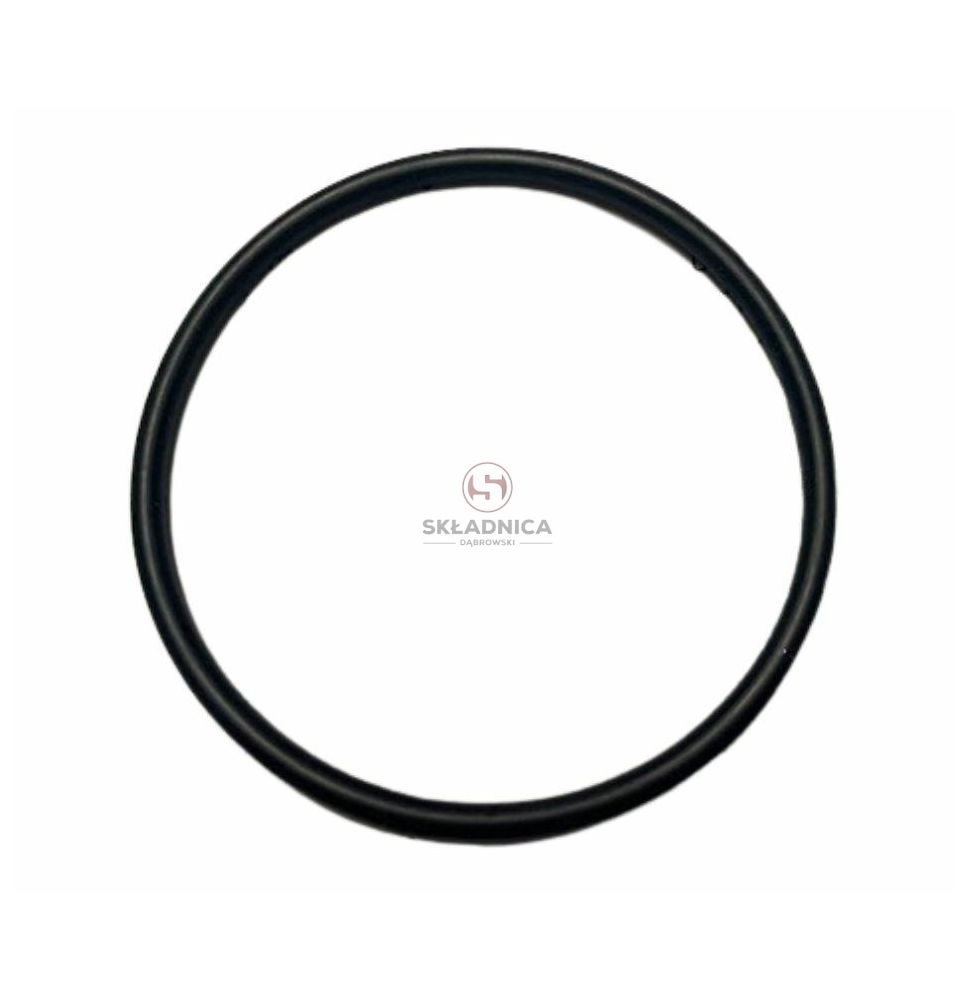 ORING   100* 3.25 [CCN058]