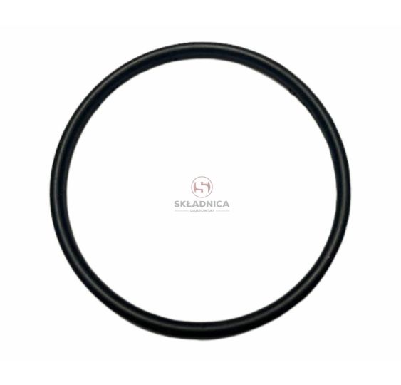 ORING   100* 3.25 [CCN058]