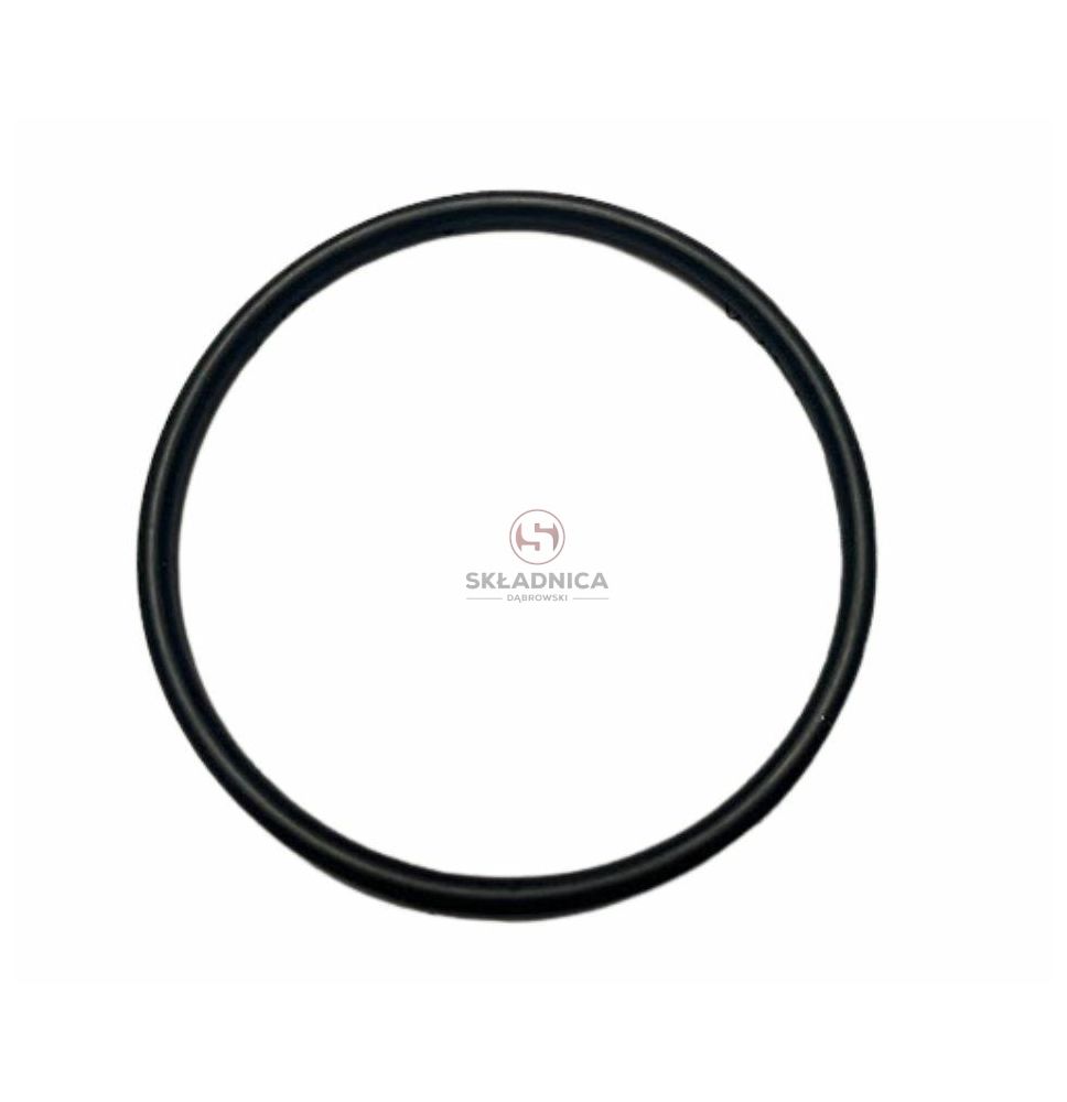 ORING   49.20 * 2.4 [CCN179]