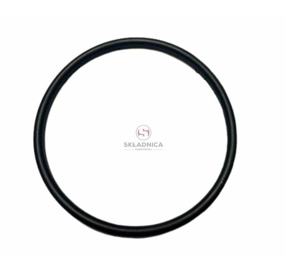 ORING   49.20 * 2.4 [CCN179]