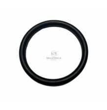 ORING   3.53 * 31.34 [CCN401]