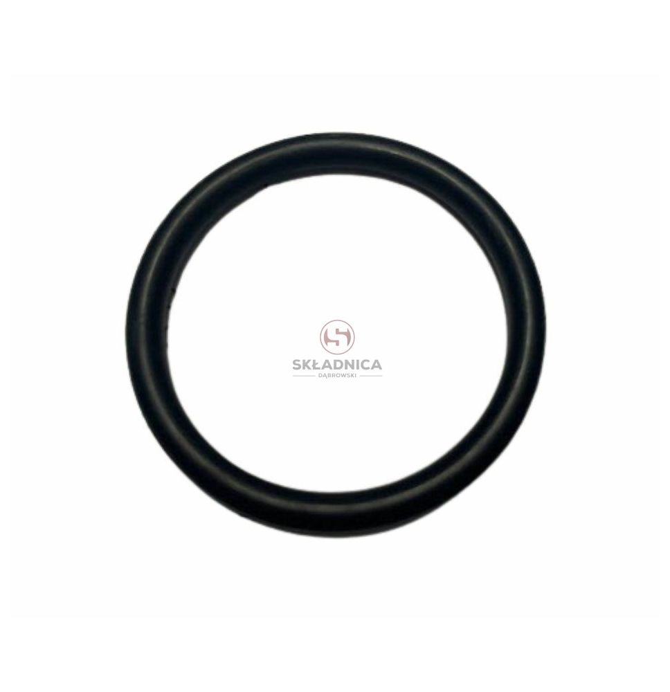 ORING   3.53 * 31.34 [CCN401]