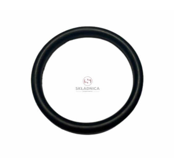 ORING   3.53 * 31.34 [CCN401]