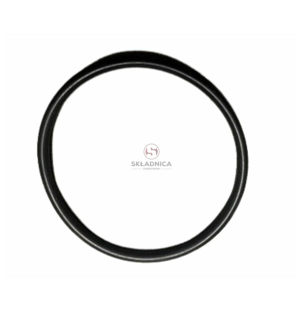 ORING   42.00 * 2.50 [CCN700]