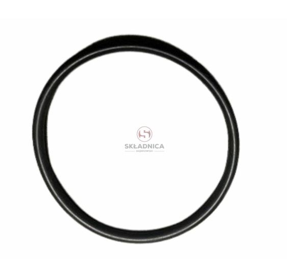 ORING   42.00 * 2.50 [CCN700]
