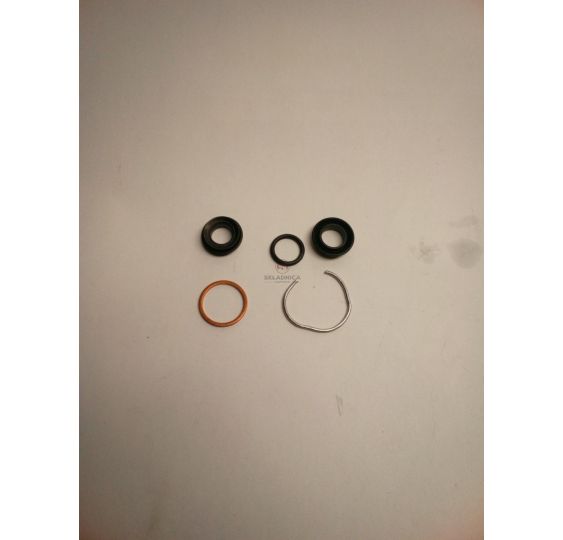 ZESTAW NAPRAWCZY POMPKI HAM. [CDD301]