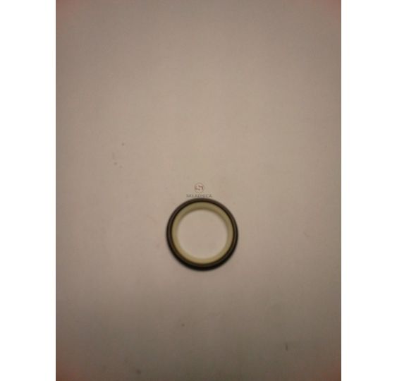 PIERŚCIEŃ 22.00*30.80*3.00 SE+OR [CFB218]