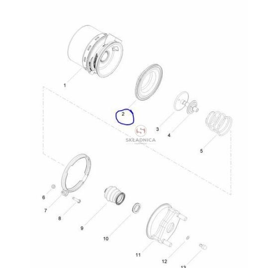 MEMBRANA SIŁOWNIKA [CFD218-M]