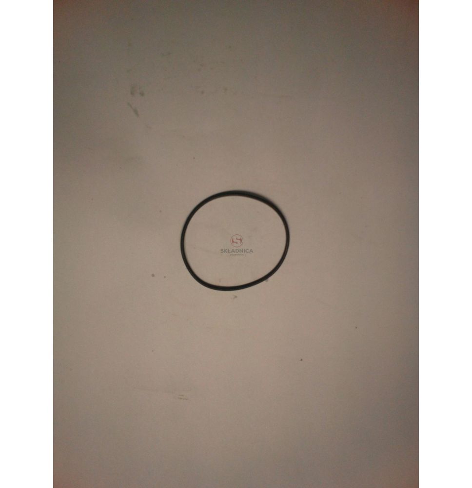 ORING   75.87  * 2.62    FILTR JAZDY [CFH311]