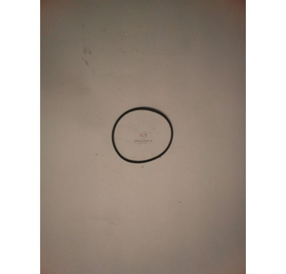 ORING   75.87  * 2.62    FILTR JAZDY [CFH311]
