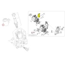 CEWKA FI-  PINY-2 [CFH336]