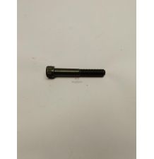 IMBUS  M12*1,5* 60  (ISO 21269)  KL.12,9 [CFM117]