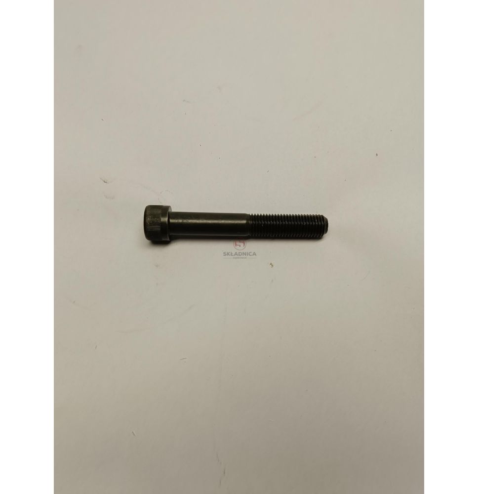 IMBUS  M12*1,5* 60  (ISO 21269)  KL.12,9 [CFM117]