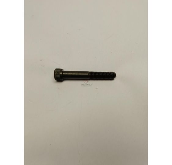 IMBUS  M12*1,5* 60  (ISO 21269)  KL.12,9 [CFM117]