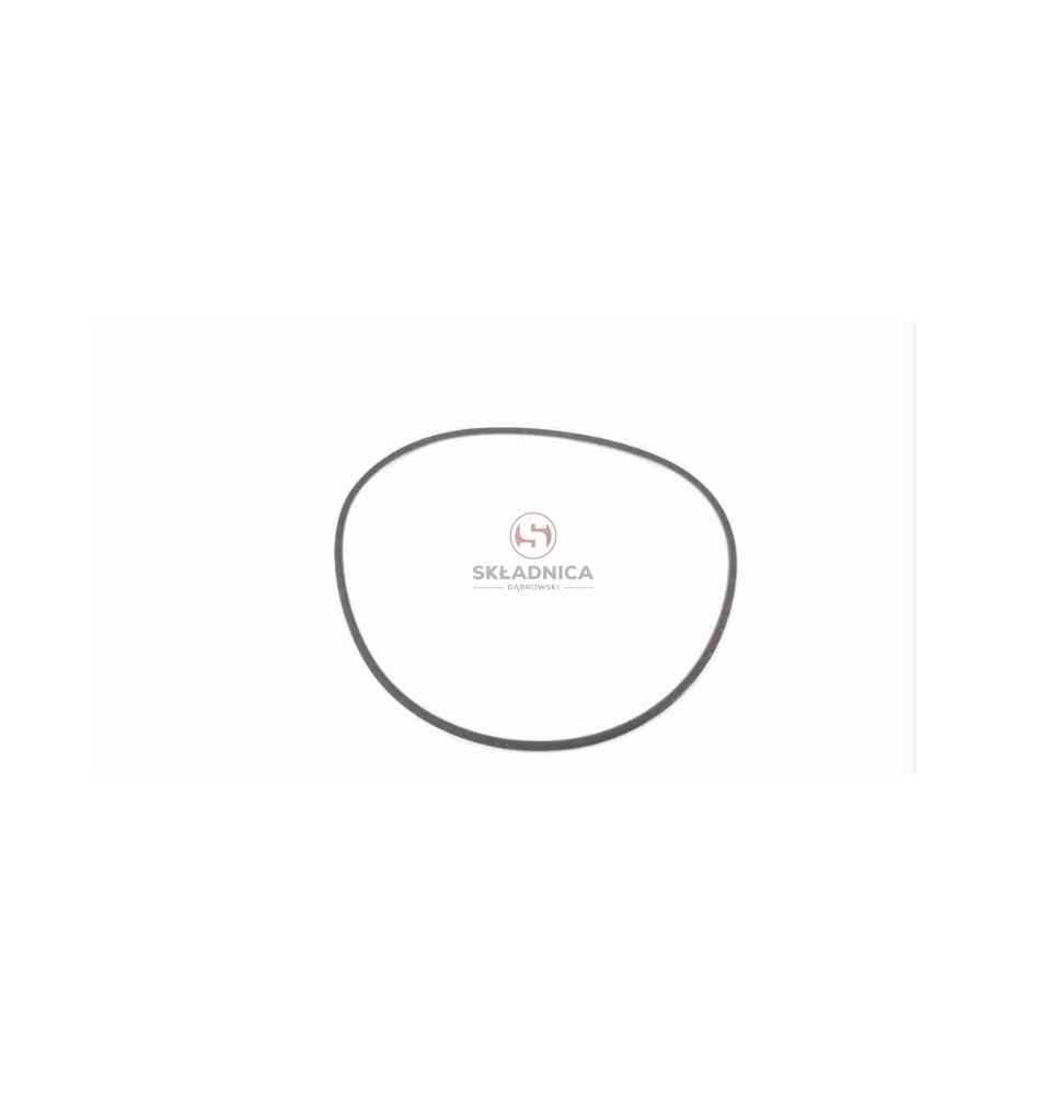 ORING  115.00 * 2.50  VITON [CFP514]