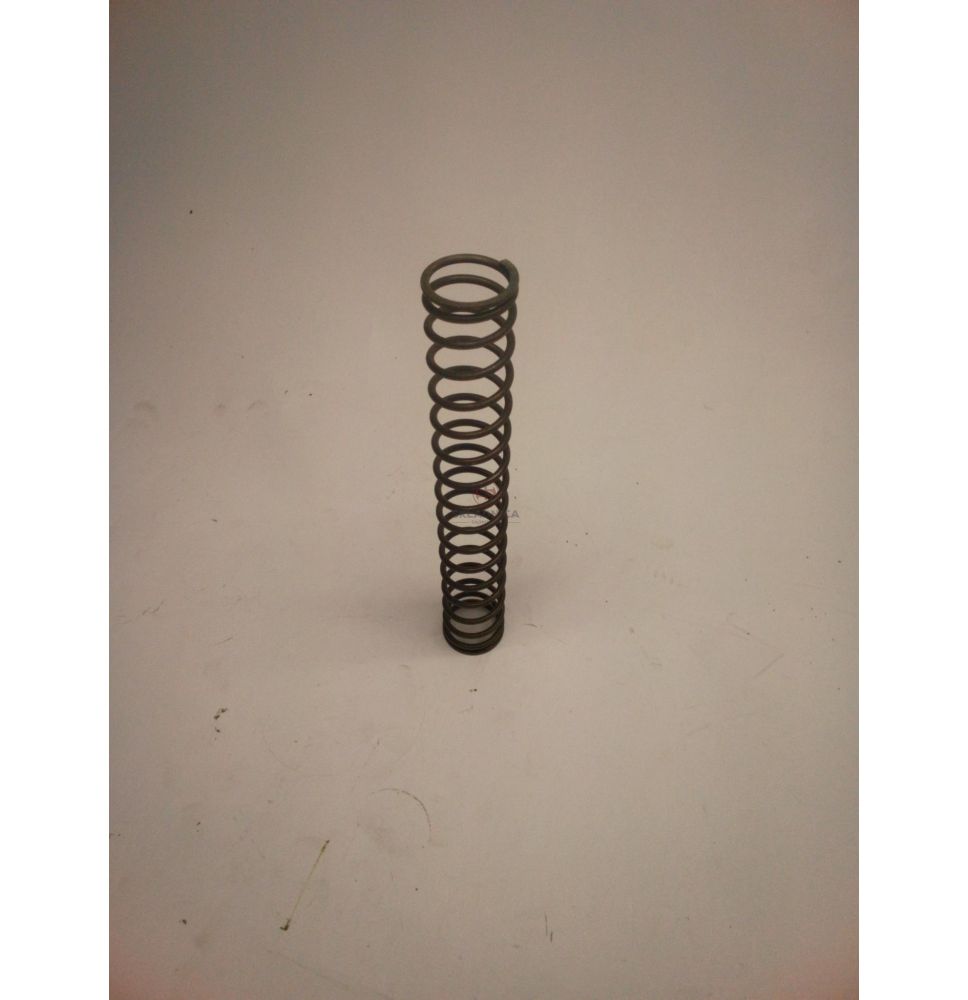 SPRĘŻYNA S FIzew- 24*2,2 LR- 160 [CJH525]