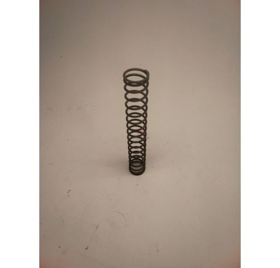 SPRĘŻYNA S FIzew- 24*2,2 LR- 160 [CJH525]