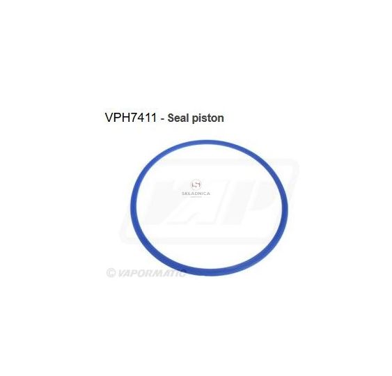 PIERŚCIEŃ 1VPH7411 [CJN608]