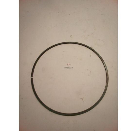 PIERŚCIEŃ [CJN742]
