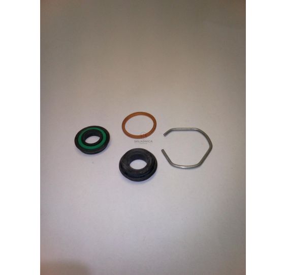 ZESTAW NAPRAWCZY POMPKI  FI-18  JD [CJP302]