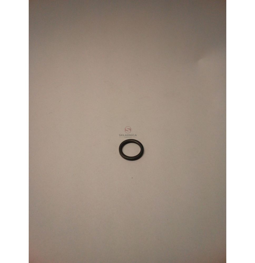 USZCZELKA PALIWOWA    9.5*13       JD [CJS468]