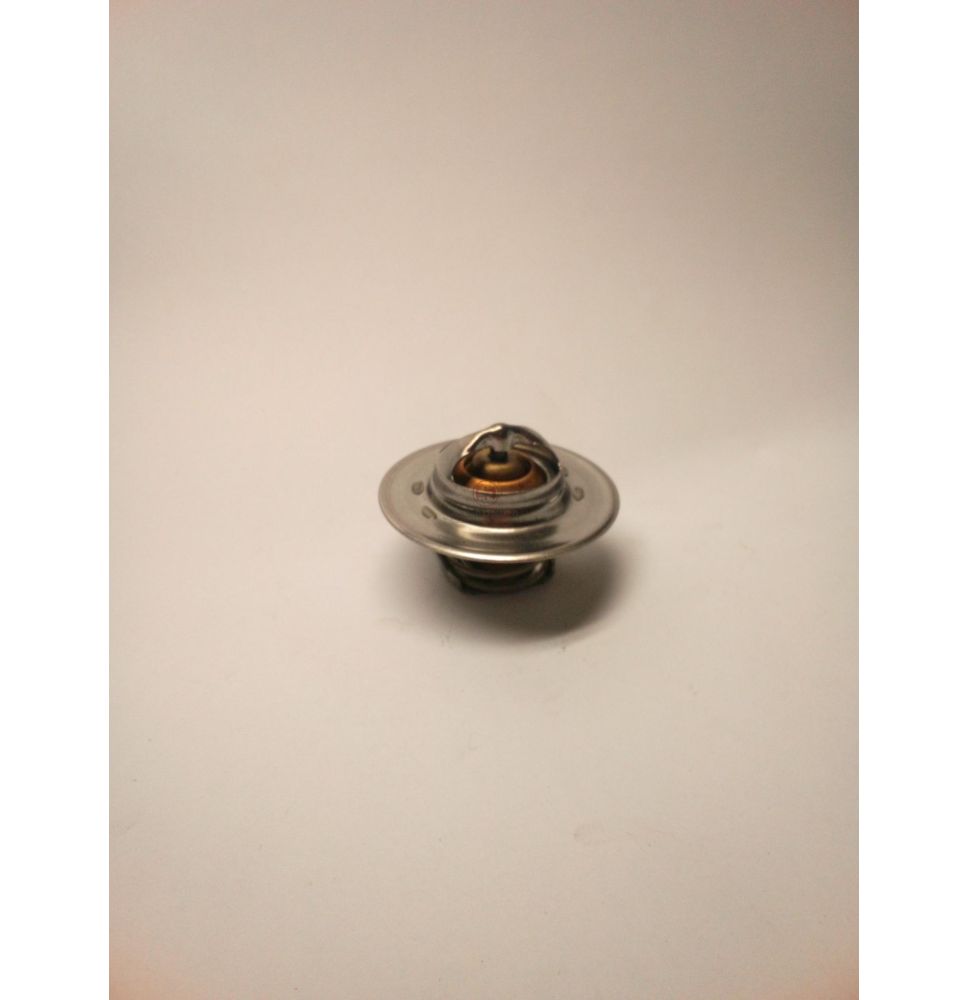 TERMOSTAT @ 54 MM  JD      24000.82 [CJS561]