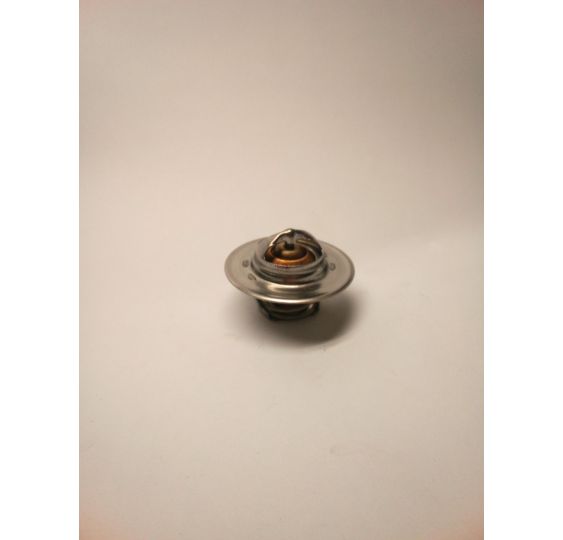 TERMOSTAT @ 54 MM  JD      24000.82 [CJS561]