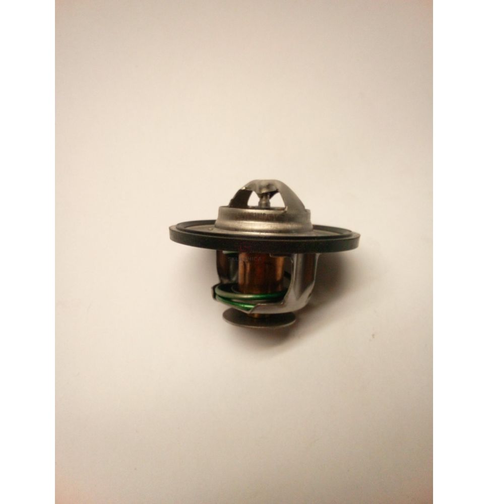 TERMOSTAT @ 54 MM  JD [CJS568]