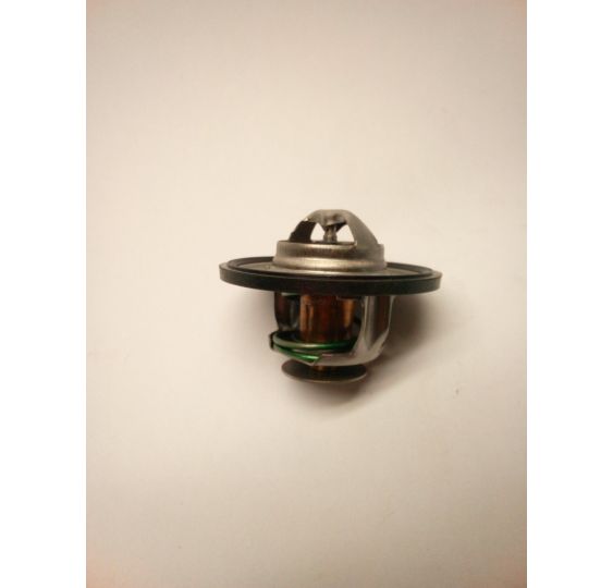 TERMOSTAT @ 54 MM  JD [CJS568]