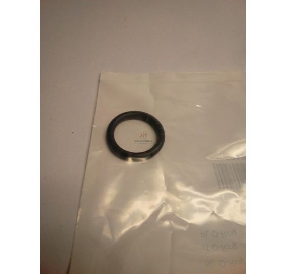ORING   19.79 * 3.53 [CJS730]
