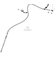 LINKA AL171269 [CJZ001]
