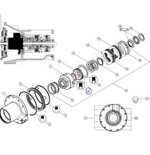 ORING   61.00 * 3.70 [CRN092]