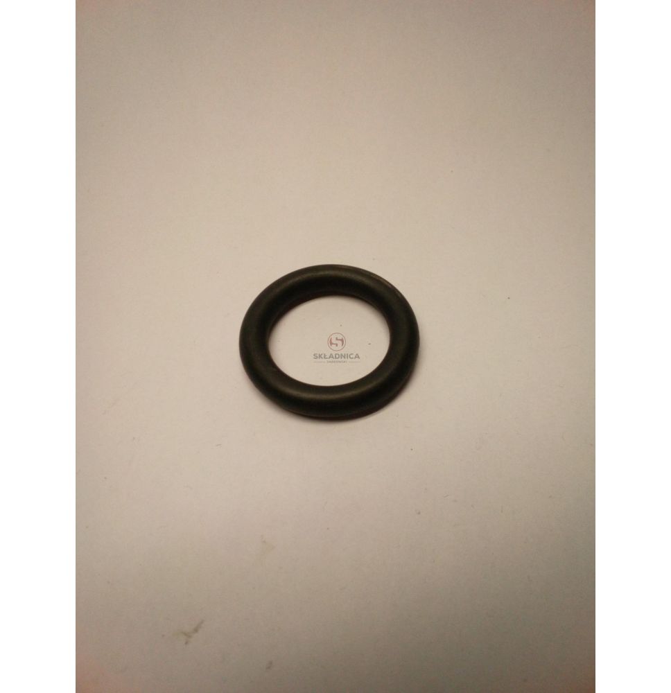 ORING   24.00 * 5.80 [CRN307]