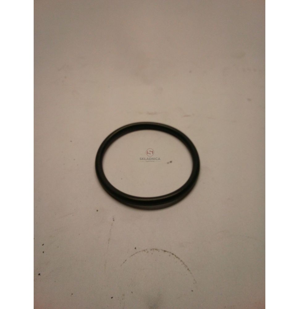ORING [CRS561]