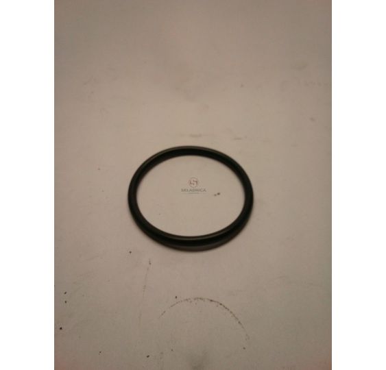 ORING [CRS561]
