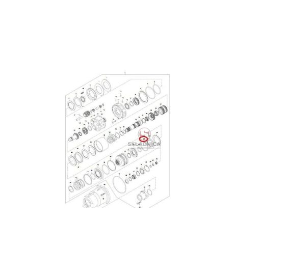 ORING  124,00 * 3.00 [CWN103]