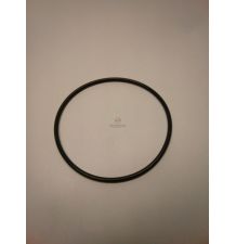 ORING   79.50 * 3.00 [CWN116]