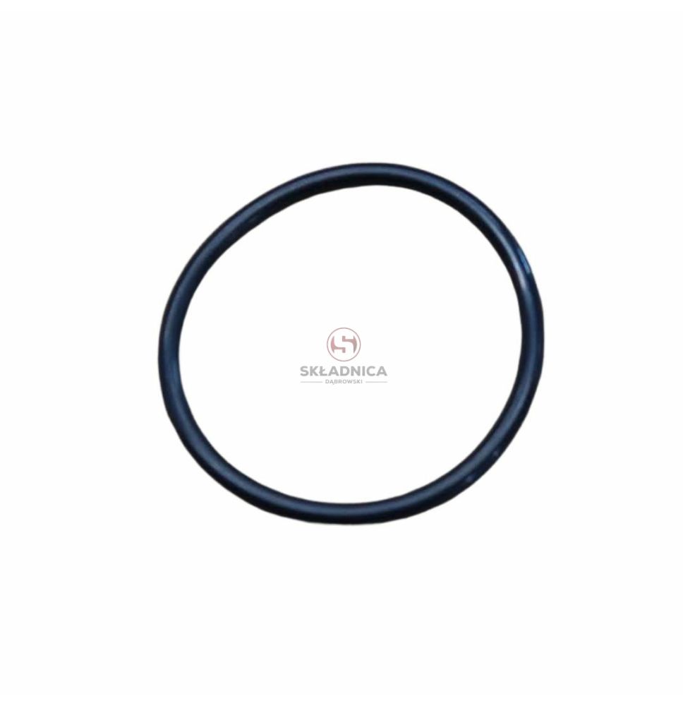 ORING   39.20 * 3.00 [CWN137]
