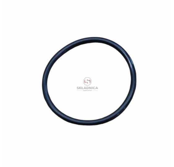 ORING   39.20 * 3.00 [CWN137]
