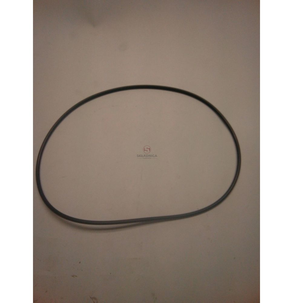 ORING 149.5*3 [CWN141]