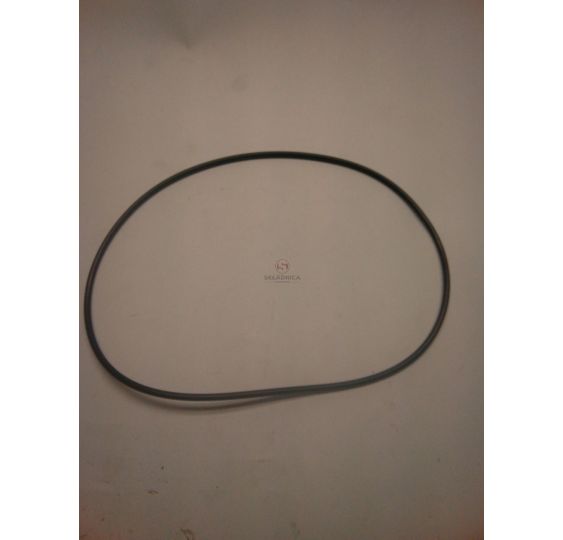 ORING 149.5*3 [CWN141]