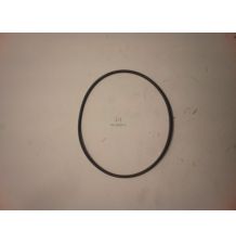 ORING 109.5*3 [CWN156]