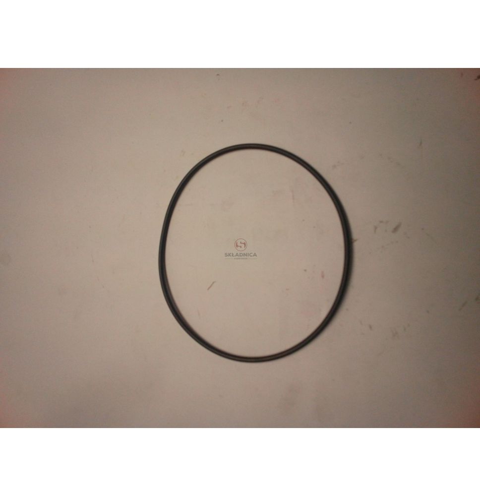 ORING 109.5*3 [CWN156]