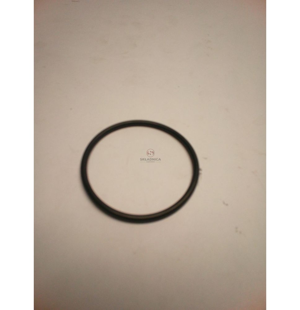 ORING   49.50 * 3.00 [CWN601-OR]