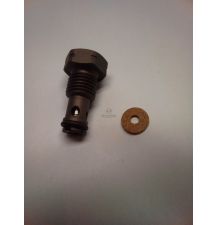 ZAWÓR PRZELEWOWY COMMON RAIL M14x1.5 [CXD431]