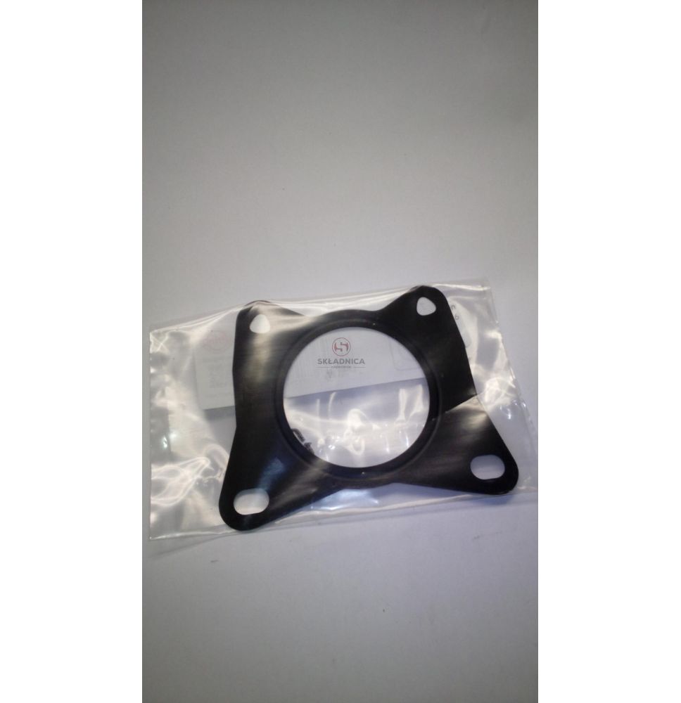USZCZELKA EGR [CXD566]