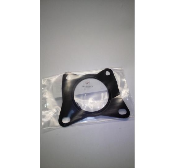 USZCZELKA EGR [CXD566]