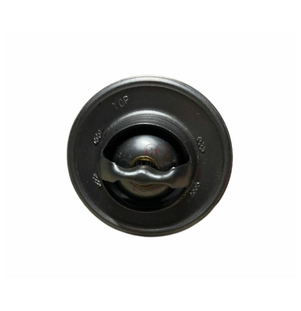 TERMOSTAT @ 54 MM  IVECO / FORD   TEMP-8 [CXI560]