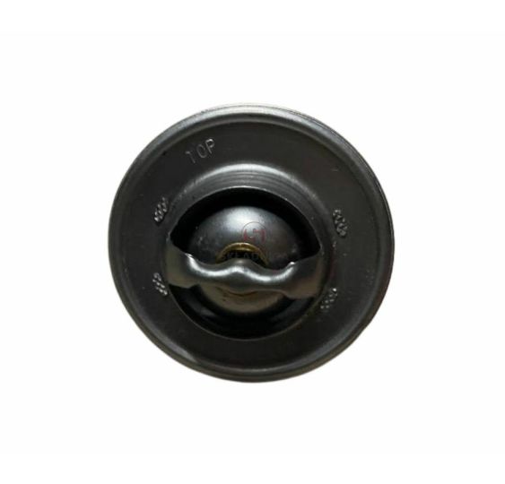 TERMOSTAT @ 54 MM  IVECO / FORD   TEMP-8 [CXI560]